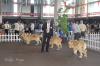 Filename=AM-e.jpg
Filesize=284KiB
Dimensions=1772x1181
Date added=%531 %16, %2015 AM-e.jpg