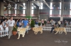 Filename=AM-f.jpg
Filesize=316KiB
Dimensions=1772x1181
Date added=%530 %16, %2015 AM-f.jpg
