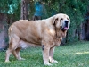 Filename=Alonso.jpg
Filesize=194KiB
Dimensions=1200x900
Date added=%670 %06, %2012 Alonso.jpg