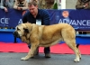 Filename=Anka-V.jpg
Filesize=95KiB
Dimensions=1055x765
Date added=%939 %30, %2011 Anka-V.jpg