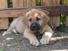 Filename=Anry-Calverota-(1).jpg
Filesize=67KiB
Dimensions=640x480
Date added=%904 %14, %2007 Anry-Calverota-(1).jpg