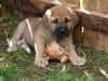 Filename=Anry-Calverota.jpg
Filesize=77KiB
Dimensions=640x480
Date added=%903 %14, %2007 Anry-Calverota.jpg