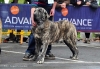 Filename=Ares-V.jpg
Filesize=115KiB
Dimensions=1066x737
Date added=%931 %30, %2011 Ares-V.jpg