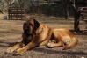 Filename=Argon_de_cueto_negro.jpg
Filesize=366KiB
Dimensions=2001x1334
Date added=%718 %17, %2018 Argon_de_cueto_negro.jpg