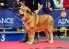 Filename=Astur-F-(2).jpg
Filesize=100KiB
Dimensions=1088x765
Date added=%958 %30, %2011 Astur-F-(2).jpg