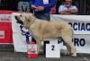 Filename=Axel-Villapedre.jpg
Filesize=98KiB
Dimensions=1120x765
Date added=%397 %16, %2012 Axel-Villapedre.jpg