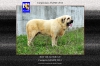 Filename=BOY.jpg
Filesize=362KiB
Dimensions=1148x765
Date added=%850 %15, %2014 BOY.jpg