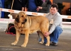 Filename=Bea-C.jpg
Filesize=84KiB
Dimensions=1052x765
Date added=%928 %06, %2013 Bea-C.jpg