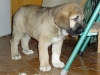 Filename=Becky1.jpg
Filesize=33KiB
Dimensions=512x386
Date added=%610 %27, %2006 Becky1.jpg