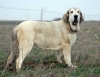 Filename=Bimba.jpg
Filesize=110KiB
Dimensions=966x744
Date added=%505 %06, %2007 Bimba.jpg