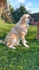 Filename=Boni____~0.jpg
Filesize=140KiB
Dimensions=540x960
Date added=%584 %11, %2015 Boni____~0.jpg