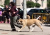 Filename=Boni_de.jpg
Filesize=190KiB
Dimensions=1462x1012
Date added=%587 %11, %2015 Boni_de.jpg