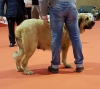 Filename=Brisa_de_Fuente_del_Grajero-m.jpg
Filesize=69KiB
Dimensions=960x856
Date added=%876 %05, %2017 Brisa_de_Fuente_del_Grajero-m.jpg