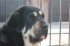 Filename=CH__FIONA_de_TdO_2014_03_14.JPG
Filesize=80KiB
Dimensions=800x533
Date added=%762 %11, %2017 CH__FIONA_de_TdO_2014_03_14.JPG
