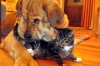 Filename=CSC_0106a.jpg
Filesize=229KiB
Dimensions=1200x799
Date added=%256 %11, %2009 CSC_0106a.jpg