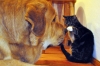 Filename=CSC_0107a.jpg
Filesize=234KiB
Dimensions=1200x799
Date added=%256 %11, %2009 CSC_0107a.jpg