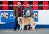 Filename=C_ABIERTA_MACHO-m.jpg
Filesize=115KiB
Dimensions=979x695
Date added=%927 %16, %2015 C_ABIERTA_MACHO-m.jpg