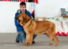 Filename=C_CACHORRO_æ.jpg
Filesize=97KiB
Dimensions=1088x794
Date added=%938 %16, %2015 C_CACHORRO_æ.jpg