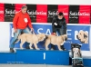 Filename=C_MUY_CACHORRO-m.jpg
Filesize=127KiB
Dimensions=1067x794
Date added=%971 %16, %2015 C_MUY_CACHORRO-m.jpg