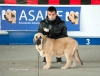 Filename=C_MUY_CACHORRO.jpg
Filesize=95KiB
Dimensions=1033x794
Date added=%973 %16, %2015 C_MUY_CACHORRO.jpg