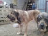 Filename=Cantero-X-Boria.jpg
Filesize=61KiB
Dimensions=1024x768
Date added=%495 %25, %2011 Cantero-X-Boria.jpg