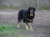 Filename=Celsa.jpg
Filesize=337KiB
Dimensions=1500x1125
Date added=%887 %06, %2011 Celsa.jpg