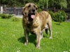 Filename=Ch-aylen.jpg
Filesize=70KiB
Dimensions=450x338
Date added=%937 %07, %2006 Ch-aylen.jpg