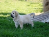 Filename=Cid2.jpg
Filesize=100KiB
Dimensions=1200x900
Date added=%737 %27, %2012 Cid2.jpg