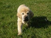 Filename=Cid4.jpg
Filesize=203KiB
Dimensions=1200x900
Date added=%736 %27, %2012 Cid4.jpg