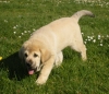Filename=Cid5.jpg
Filesize=124KiB
Dimensions=1200x1042
Date added=%736 %27, %2012 Cid5.jpg