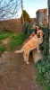 Filename=Ciro_y_Boni.jpg
Filesize=98KiB
Dimensions=540x960
Date added=%600 %11, %2015 Ciro_y_Boni.jpg