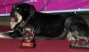 Filename=Concha3.jpg
Filesize=24KiB
Dimensions=640x378
Date added=%390 %28, %2006 Concha3.jpg