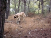 DSC01569.jpg