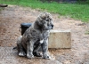 Filename=DSC_0006.jpg
Filesize=105KiB
Dimensions=983x709
Date added=%683 %26, %2009 DSC_0006.jpg