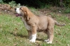 Filename=DSC_00103.jpg
Filesize=122KiB
Dimensions=1085x709
Date added=%546 %06, %2009 DSC_00103.jpg