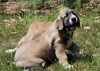 Filename=DSC_00162.jpg
Filesize=128KiB
Dimensions=998x709
Date added=%546 %06, %2009 DSC_00162.jpg
