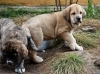 Filename=DSC_00171.jpg
Filesize=221KiB
Dimensions=992x737
Date added=%957 %07, %2009 DSC_00171.jpg