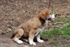 Filename=DSC_0018.jpg
Filesize=131KiB
Dimensions=1030x709
Date added=%547 %06, %2009 DSC_0018.jpg