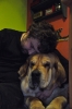 Filename=DSC_0022~0.jpg
Filesize=264KiB
Dimensions=800x1204
Date added=%907 %19, %2009 DSC_0022~0.jpg