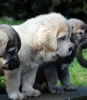 Filename=DSC_00261.jpg
Filesize=41KiB
Dimensions=794x904
Date added=%998 %02, %2008 DSC_00261.jpg