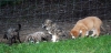 Filename=DSC_00632.jpg
Filesize=139KiB
Dimensions=1288x624
Date added=%848 %17, %2008 DSC_00632.jpg