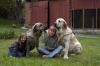 Filename=DSC_0136.jpg
Filesize=40KiB
Dimensions=640x424
Date added=%652 %31, %2006 DSC_0136.jpg