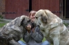 Filename=DSC_0142.jpg
Filesize=33KiB
Dimensions=640x424
Date added=%651 %31, %2006 DSC_0142.jpg