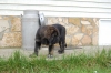 Filename=DSC_0148.jpg
Filesize=120KiB
Dimensions=1200x798
Date added=%866 %05, %2012 DSC_0148.jpg