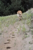 Filename=DSC_0192.jpg
Filesize=235KiB
Dimensions=1000x1506
Date added=%350 %09, %2009 DSC_0192.jpg