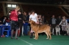 Filename=DSC_3749.jpg
Filesize=33KiB
Dimensions=640x428
Date added=%770 %23, %2008 DSC_3749.jpg