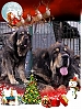 Filename=De_Villasule.jpg
Filesize=261KiB
Dimensions=1080x1440
Date added=%998 %31, %2020 De_Villasule.jpg