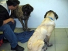 Filename=DeniroRoman-Ortiz-c.jpg
Filesize=19KiB
Dimensions=480x360
Date added=%664 %02, %2008 DeniroRoman-Ortiz-c.jpg