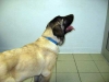 Filename=DeniroRoman-Ortiz-d.jpg
Filesize=15KiB
Dimensions=480x360
Date added=%663 %02, %2008 DeniroRoman-Ortiz-d.jpg