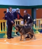 Filename=Diana_de_La_Rabiza__-jpg.jpg
Filesize=65KiB
Dimensions=791x909
Date added=%840 %31, %2019 Diana_de_La_Rabiza__-jpg.jpg